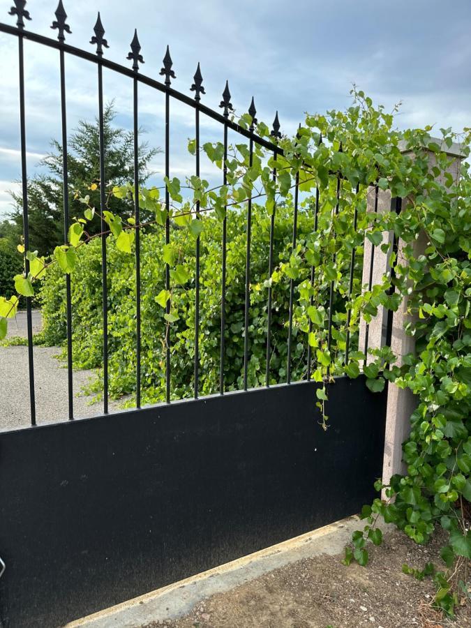 La Villa Du Rayol Saint Maximin Екстер'єр фото